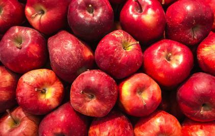 5 garšīgas receptes, ko pagatavot no āboliem