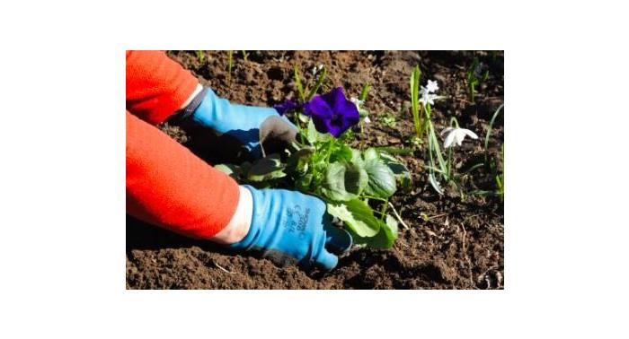 BN KURŠI svarīgākie pavasara dārza darbi