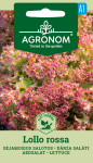 Salātu sēklas AGRONOM Lollo Rossa (A) 1g