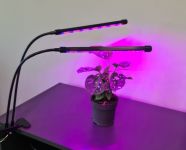 Lampa augu augšanai Gardlov 2x20 LED