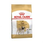 Barība suņiem Royal Canin Pug Adult 500g