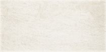 Sienas flīzes EMILLY Bianco, 9mm, 30x60cm, 634280, (cena par m2)
